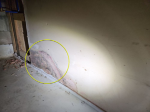 Visible water damage and mold growth on a basement wall, indicating a need for remediation by Green Home Solutions in Mount Airy, MD.