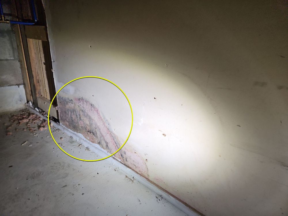 Visible water damage and mold growth on a basement wall, indicating a need for remediation by Green Home Solutions in Mount Airy, MD.
