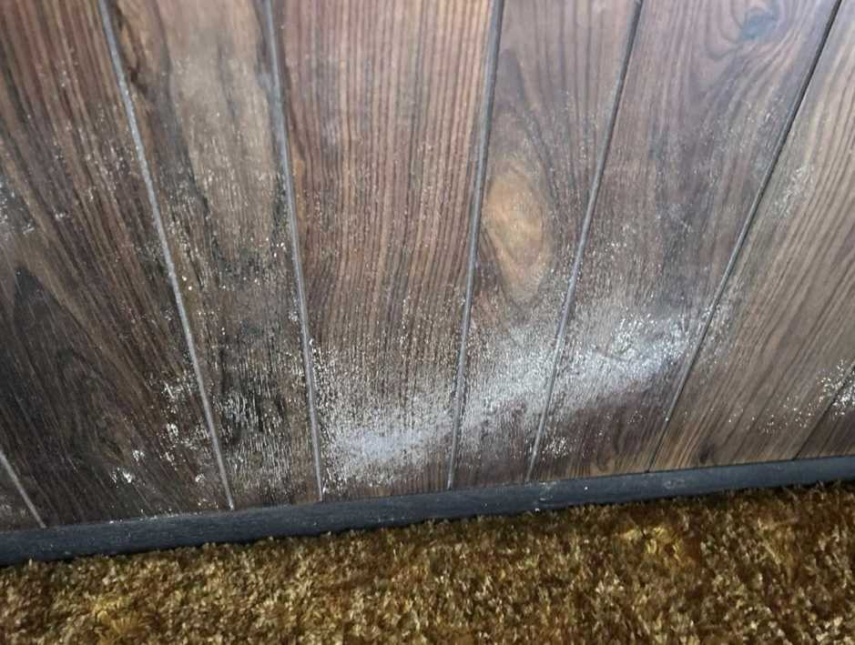 White mold or efflorescence on a wood paneled wall, indicating water damage, by Ross Restoration in Fort Wayne, IN