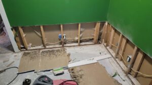 A room with drywall removed, revealing mold growth on wall studs due to water damage, handled by Utah Disaster Team in Layton, UT.