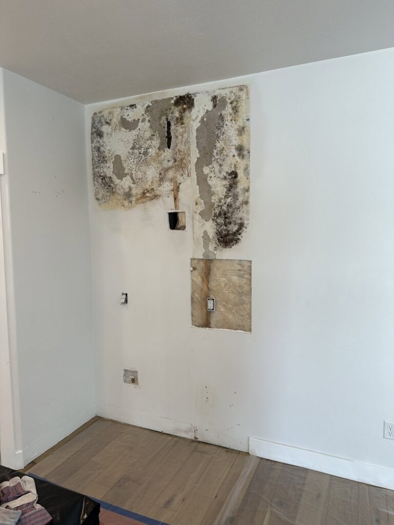A wall with extensive mold growth and damaged drywall, showing water damage remediation by Advanced Restoration LLC in Salt Lake City, UT.