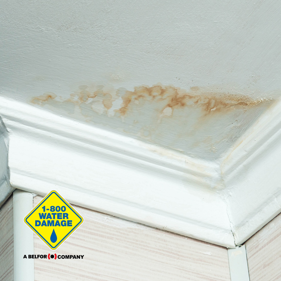 Visible water damage stain on a ceiling and crown molding, showing a problem 1-800 Water Damage of Rogers and Bentonville can fix in Fort Smith, AR.