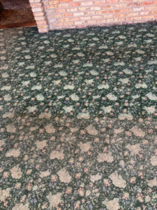 A visibly water-damaged carpet in a home before restoration by Complete Cleanliness in Jamestown, ND.