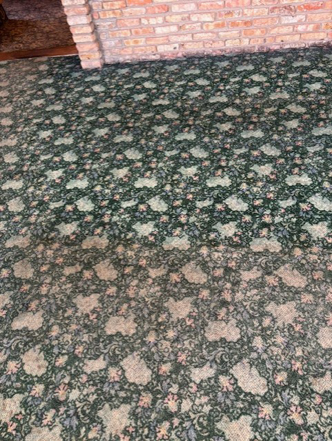 A visibly water-damaged carpet in a home before restoration by Complete Cleanliness in Jamestown, ND.