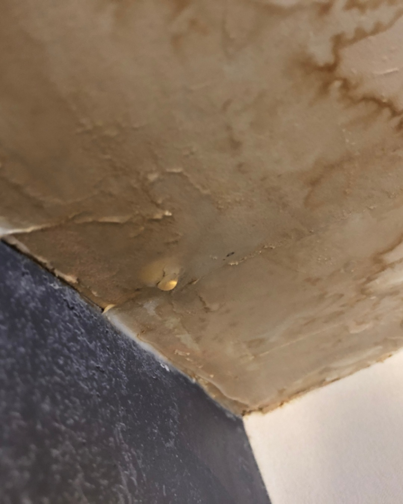 A severely water-damaged ceiling with visible stains and bubbling paint, ready for repair by Restoration 1 of Tuscaloosa in Northport, AL.
