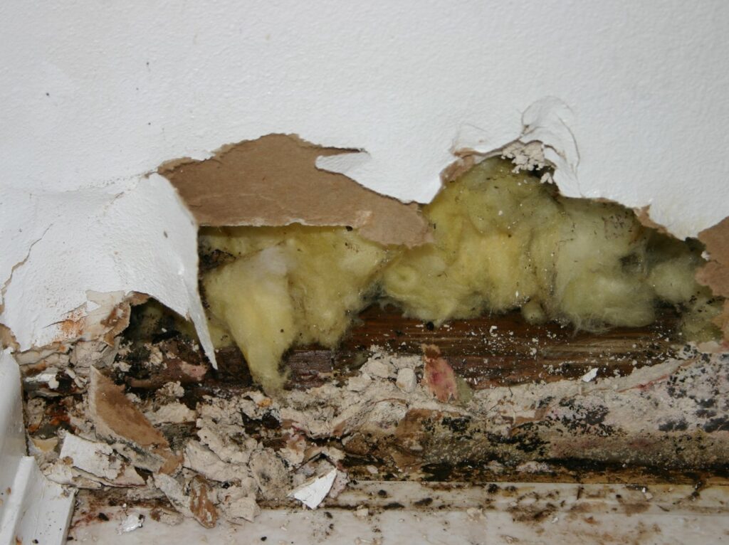 A damaged wall and ceiling corner with exposed insulation and dark discoloration from water damage and potential mold, remediated by A1 Restoration of Spokane in Post Falls, ID.
