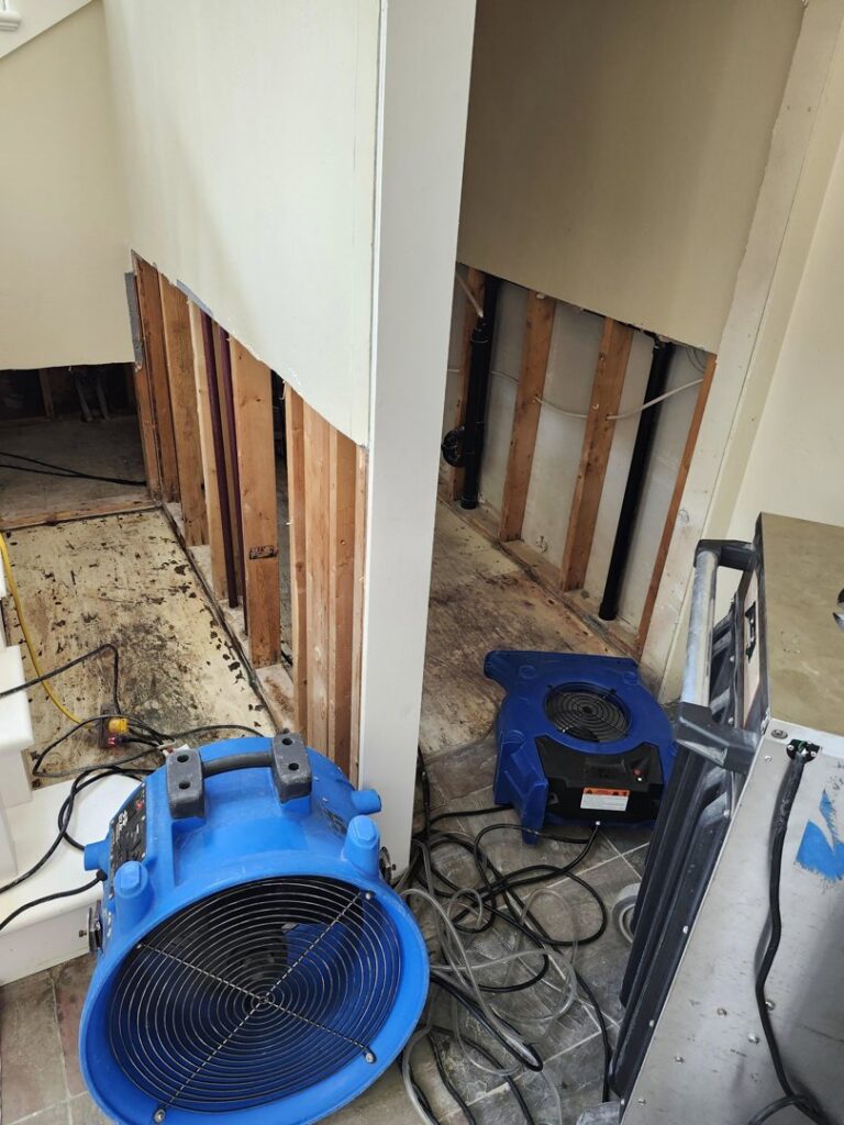 Walls removed to expose studs with air movers on the floor, indicating active water damage restoration by Elite Restoration LLC in Puyallup, WA.