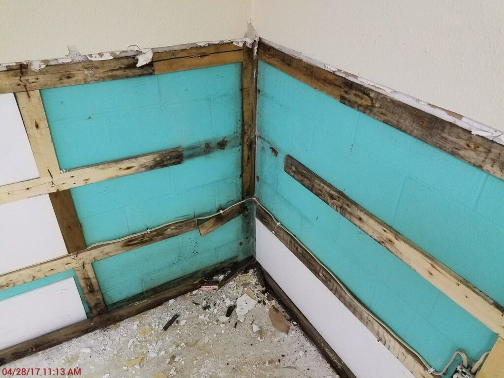 Interior walls stripped down to studs and insulation, revealing water damage and mold, a restoration project by Elite Restoration LLC in Puyallup, WA.