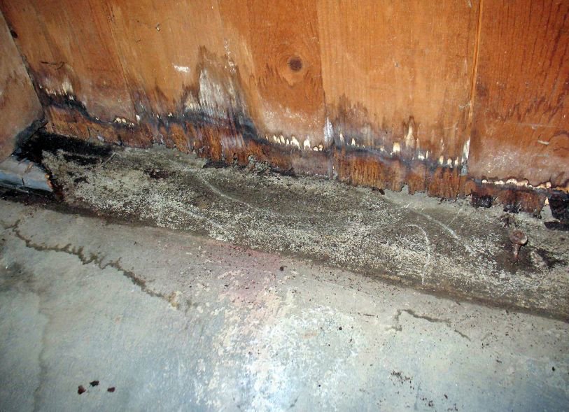 Close-up of a severely water-damaged wooden wall with visible mold and water stains on the concrete floor by Royal Restoration in Enid, OK.