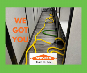 Water extraction hoses laid out in an office for a water damage restoration job by SERVPRO of Daviess County in Owensboro, KY.