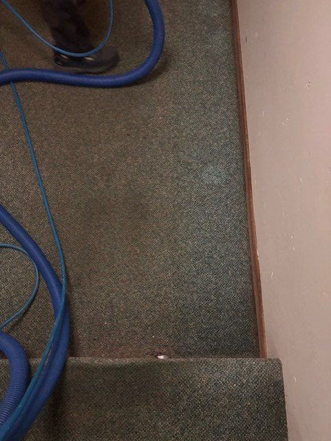 Blue water extraction hoses on a carpet during a water damage cleanup by Complete Cleanliness in Jamestown, ND.