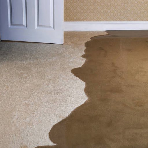 A visible puddle of water on a carpeted floor, indicating water damage that needs immediate attention from Rainbow Restoration of the Capital Region in Clifton Park, NY