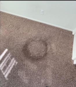A visible water stain on a carpet, indicating a need for water damage restoration by Lipscomb Hydra Cleaning Systems, LLC in Owensboro, KY.