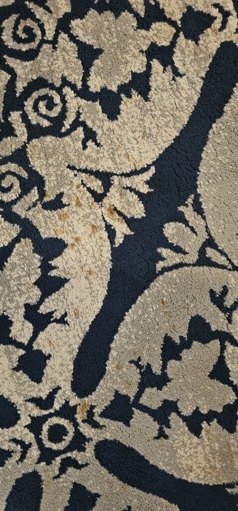Close-up of a patterned carpet showing brown water stains, indicating a need for water damage restoration by COIT Cleaning and Restoration in Indianapolis, IN