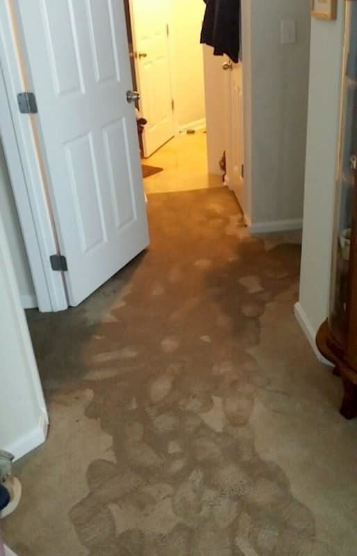 A carpeted hallway showing clear signs of water damage and staining, ready for restoration by The Restoration Experts in Waupaca, WI.