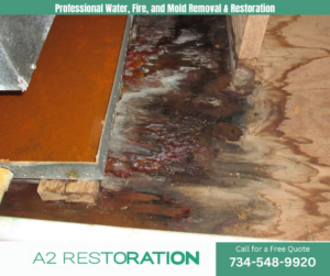 A close-up of a water-stained wooden subfloor showing damage, handled by A2 Restoration in Ann Arbor, MI.