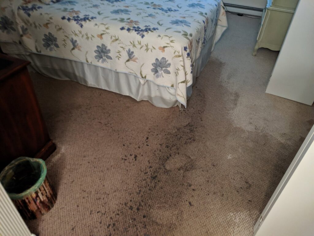 Dark water stains and discoloration on bedroom carpet, indicating water damage, addressed by Elite Restoration LLC in Puyallup, WA.