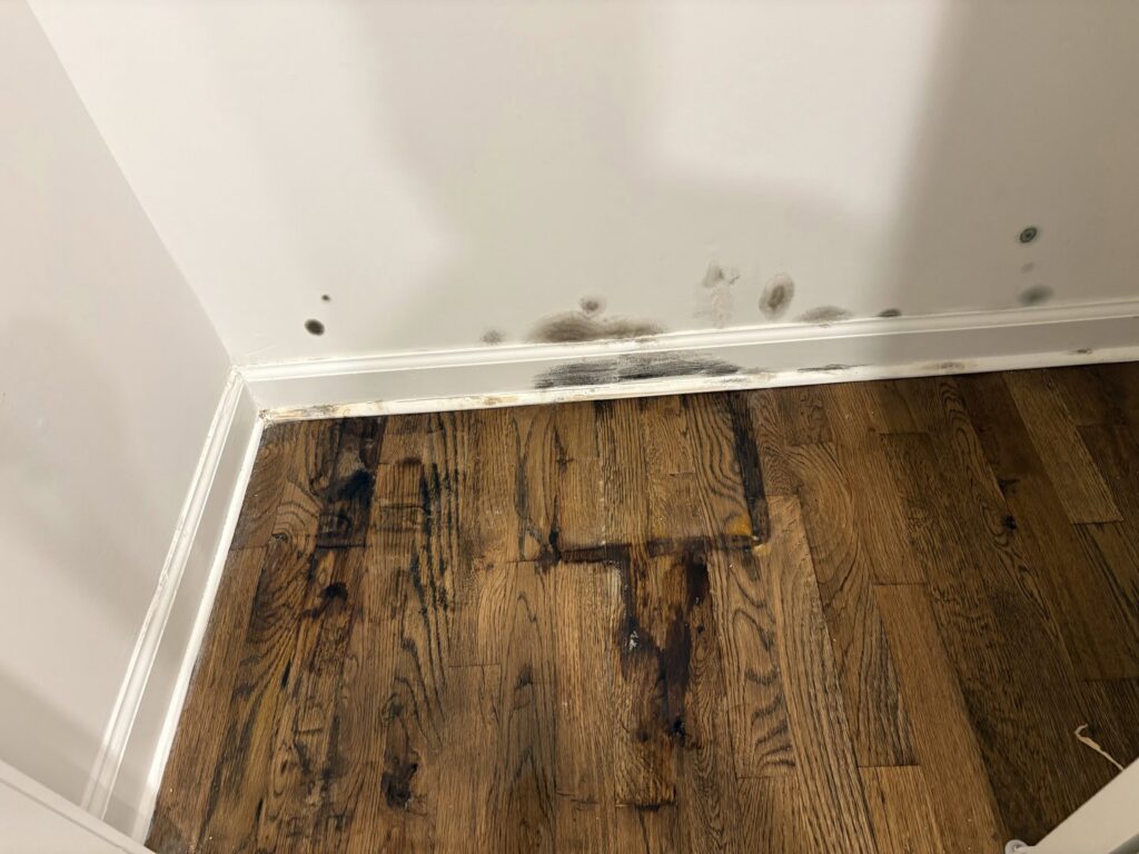 Severe water stains and mold growth visible on a wall and floor, indicating water damage needing restoration by Mold Master Restoration in Jersey City, NJ