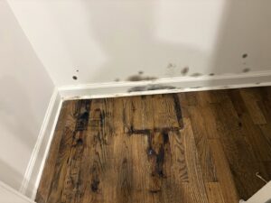 Severe water stains and mold growth visible on a wall and floor, indicating water damage needing restoration by Mold Master Restoration in Jersey City, NJ
