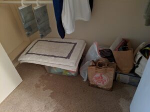 Visible water stains on carpet inside a closet, indicating water damage, addressed by Elite Restoration LLC in Puyallup, WA.