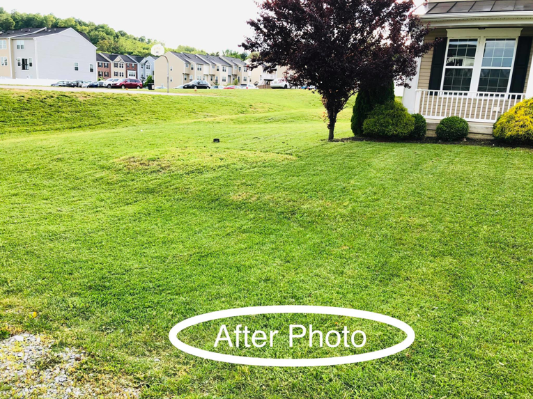 A well-maintained lawn after professional service by Valued Cleaning Service LLC in Martinsburg, WV