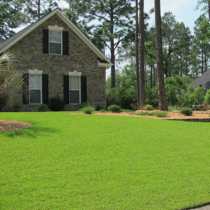 A perfectly manicured, vibrant green lawn in front of a brick house by C-Spray of Gulfport in Gulfport, MS.
