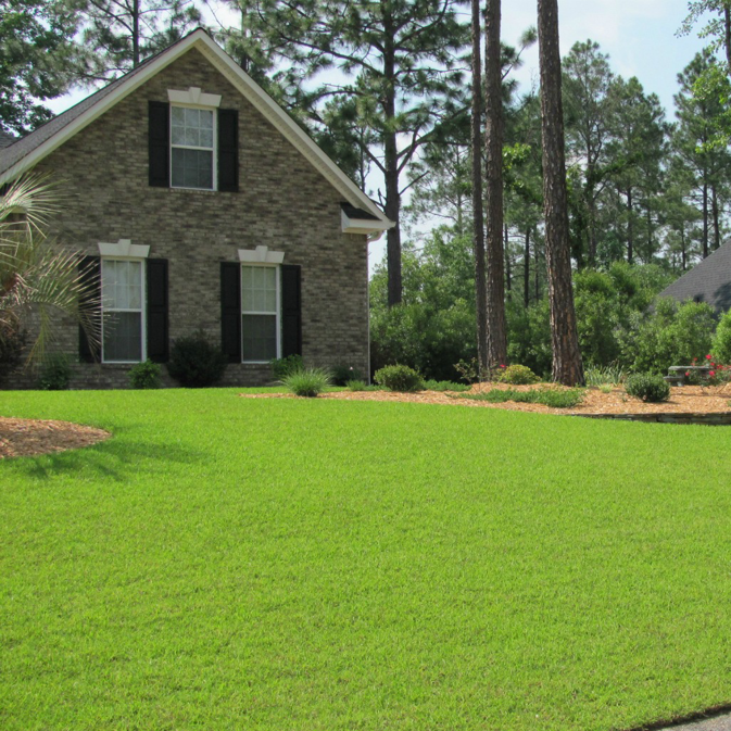 A perfectly manicured, vibrant green lawn in front of a brick house by C-Spray of Gulfport in Gulfport, MS.
