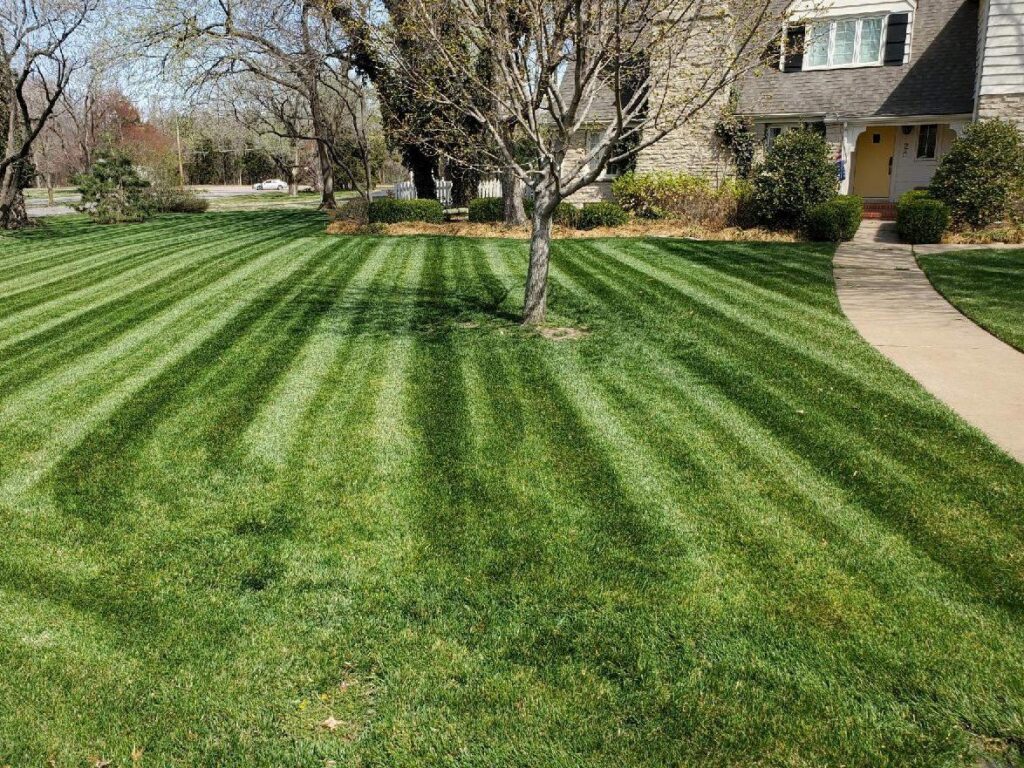 A well-manicured front lawn with distinct mowing stripes and a tree, maintained by A & B Lawn Service LLC in Baytown, TX.