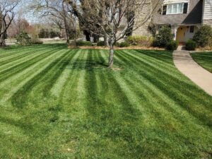 A well-manicured front lawn with distinct mowing stripes and a tree, maintained by A & B Lawn Service LLC in Baytown, TX.