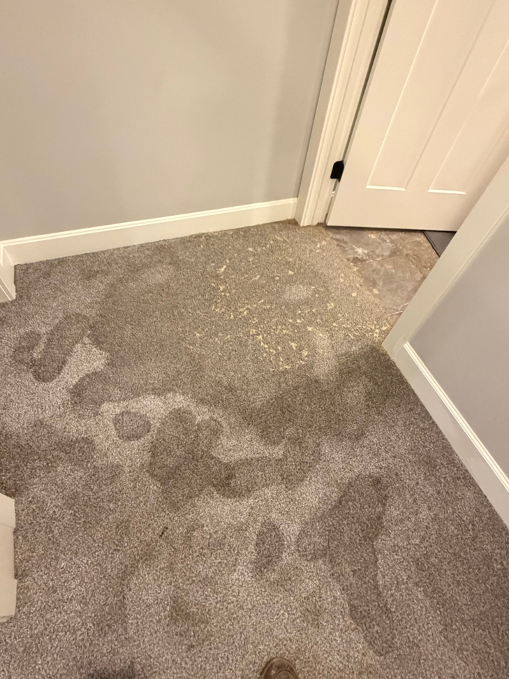 A residential carpet showing clear signs of water damage and discoloration near a doorway, addressed by Cowboy Certified Plumbing & Water Cleanup in Lee's Summit, MO.