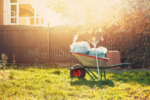 A wheelbarrow filled with bagged leaves and a rake, ready for yard cleanup by Backcountry Lawn Service in Missoula, MT.