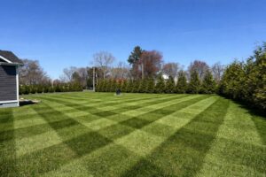 A wide view of a large lawn with a distinct crosshatch mowing pattern, provided by A & J Lawn Care LLC in Seaford, DE.