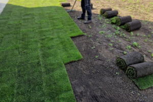 A worker installing rolls of fresh sod on prepared soil for All American Sod LLC in Sandy, UT.