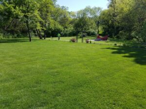 A lawn care professional from Nice & Precise Lawn Care working on a spacious, vibrant green lawn in Ames, IA.
