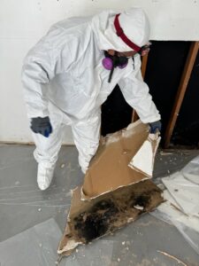 A worker in a hazmat suit removing moldy drywall during water damage remediation by RestoPros of Hartford in West Hartford, CT.