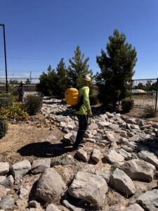 A worker applying weed control with a backpack sprayer for Jireh landscaping and maintenance in Henderson, NV