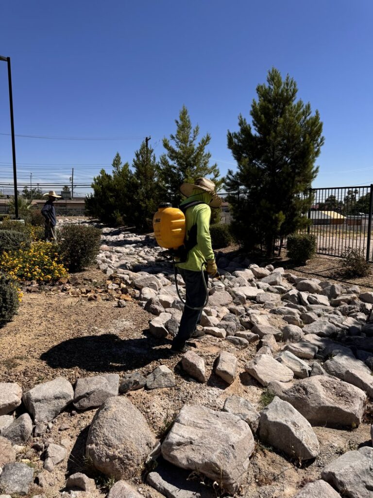 A worker applying weed control with a backpack sprayer for Jireh landscaping and maintenance in Henderson, NV