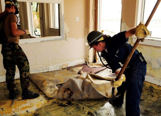 Water damage restoration workers removing damaged flooring from a room during cleanup by Water Damage Pro in Minneapolis, MN