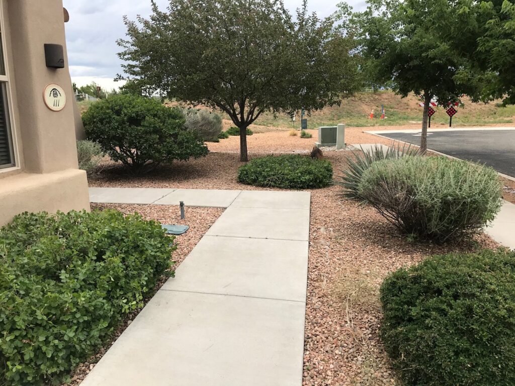 A xeriscape front yard design with decorative gravel and drought-tolerant shrubs by Pro Scape in Eustis, FL.