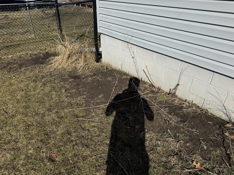 Yard area needing cleanup and brush removal services from Elite Property Care in Albany, NY.